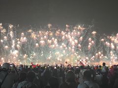 -南宁花花大世界景区