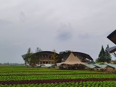 -中国天府农业博览园