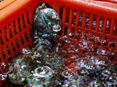 -巽寮印象美食部落餐厅·海鲜·地方特色菜(惠州体验店)