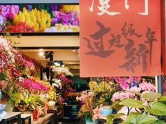 -溪岸路花鸟市场