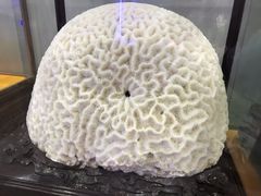 -游龙石文化科普馆
