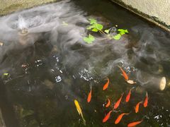 -宣和苑(华侨新村店)