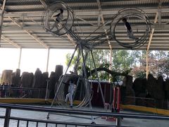 -泉州海丝野生动物世界