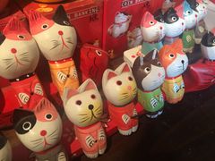 -猫咪博物馆(顶澳仔猫街店)