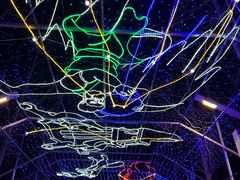 -南宫五洲植物乐园