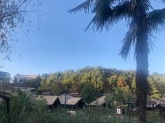 -咸宁万豪温泉谷度假区