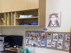 -美联众合动物医院·24h京西诊疗中心