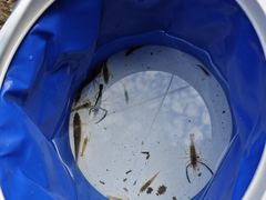 -众神白水涧景区