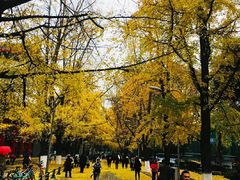 -四川大学(华西校区)