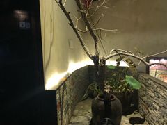 -几荷·恰似故人来(秀水广场店)