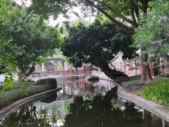 -名树园