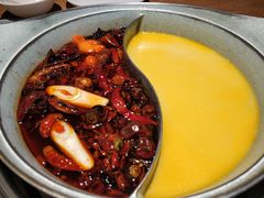 -青瓷火锅料理(西单大悦城店)