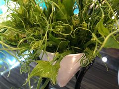 丝瓜尖-东椰·海南椰子鸡火锅(朝阳门店)