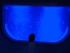 -福州罗源湾海洋世界旅游区