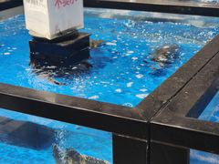 -新华百货CC Park购物广场