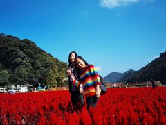 -广州市石门国家森林公园