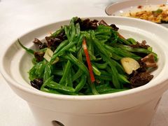 -新疆兵团食府清真(马连道店)