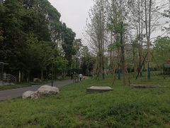 -神仙树公园