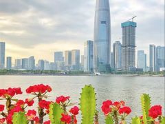 -深圳人才公园