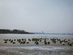 -沈阳市东陵公园