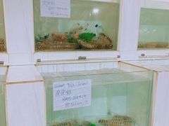 -海盗餐厅