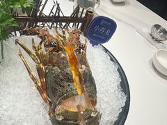 -海月轩海鲜豆捞(紫金塔店)