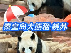 -秦皇岛野生动物园