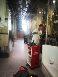 -MAGIC米几发型设计·羊毛卷