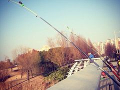 upload_pic-新江湾城公园