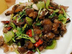 双椒炒蹄筋-王胖子驴肉火烧(鼓楼店)