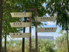 -高子水居