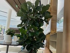 -上德宝骏宝马5S店