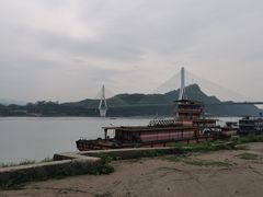 -半月镰胡姐脆皮萝卜饺子