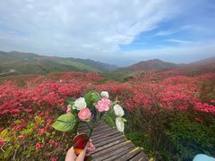 -大围山国家森林公园