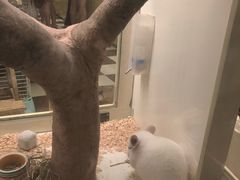 -龙猫仔乐园(惠福东路店)