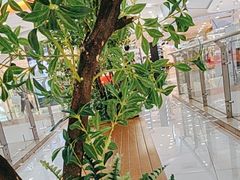 -巴黎春天(浦建店)
