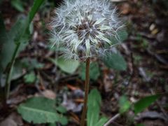 -云岫谷游猎自然风景区