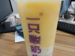 -一只酸奶牛(八一路店)