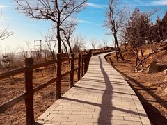 -白水寺森林公园