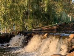 -长白岛森林公园