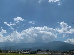 -喜林苑·稻田餐厅(品相府店)