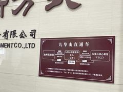 -九华山风景区