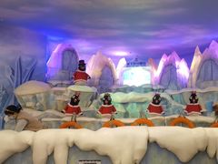 -帝企鹅自助餐厅•儿童岛•真企鹅(长隆企鹅酒店)