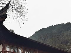 -韬光茶庵