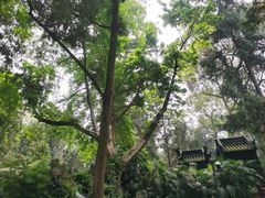 -成都武侯祠博物馆