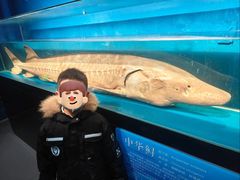 -国家自然博物馆