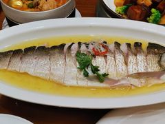 -鲁宴·鲁煨黄河生态大鲤鱼(月坛店)