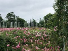 -尚贤河湿地