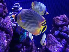 -成都浩海立方海洋公园