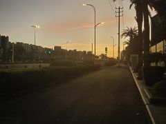 -万绿园